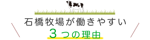 石橋牧場が働きやすい３つの理由
