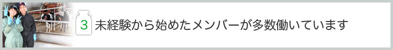 未経験から始めたメンバーが多数働いています