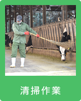 清掃作業